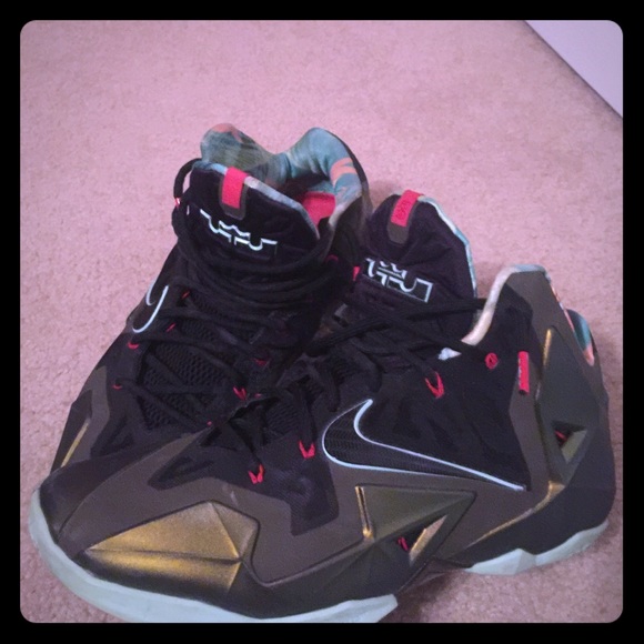 Lebron 10s