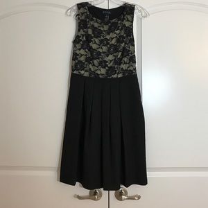 NWOT Enfocus Studio black & beige dress with lace