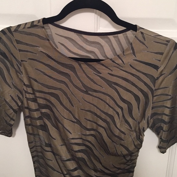 Sheer Tan Tiger Striped Dress - Picture 3 of 4