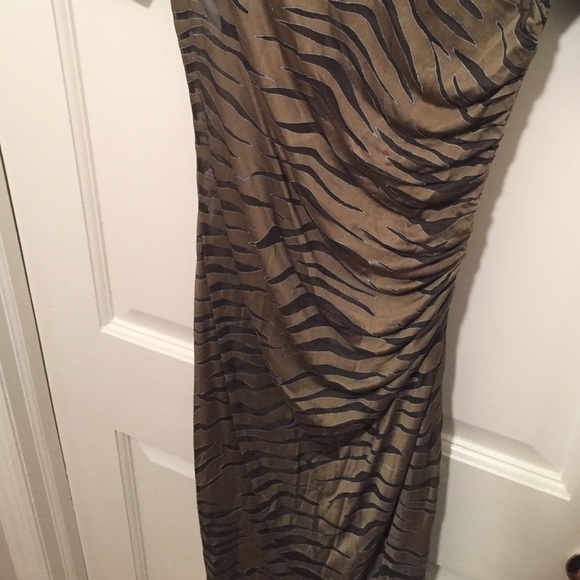 Sheer Tan Tiger Striped Dress - Picture 4 of 4