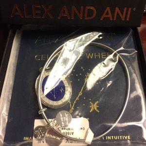 Alex and Ani Bangle