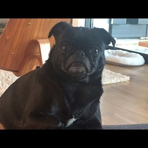 Meet your Posher, Pam