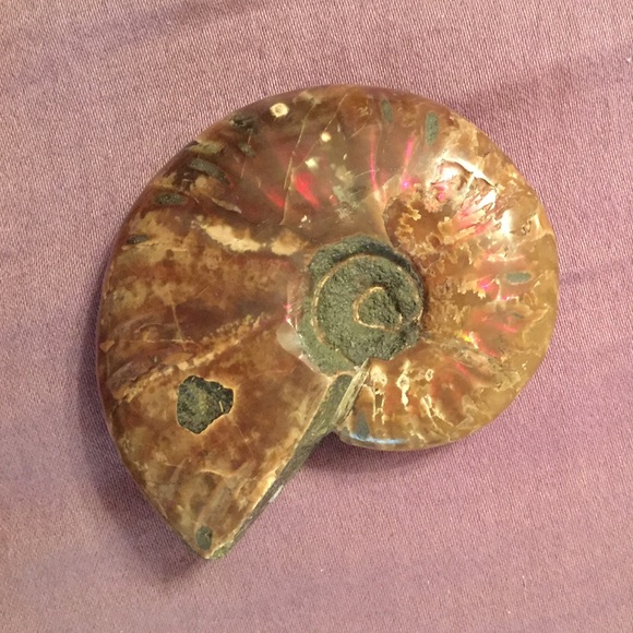 Ammonite crystal