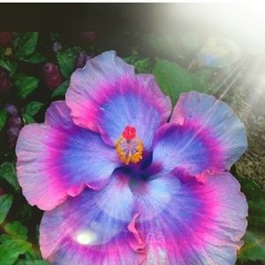 Meet your Posher, Maryann