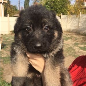 Meet your Posher, Amanda