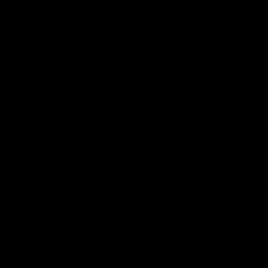 Meet your Posher, Kylie