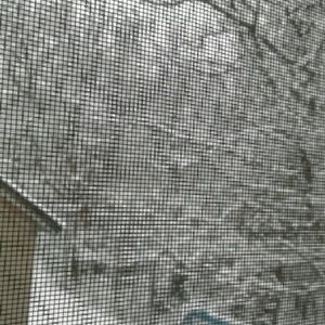 Meet your Posher, Marie