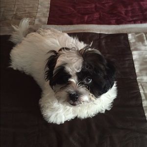 Meet your Posher, Sara