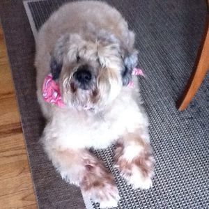 Meet your Posher, Katy