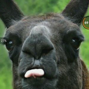 Meet your Posher, Kennith