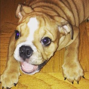 Meet your Posher, Jocelyn