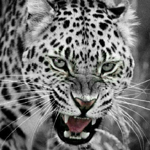 Meet your Posher, Eric - Picture 1 of 1