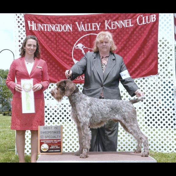 Meet your Posher, Rachel - Picture 10 of 11