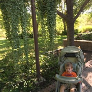 Meet your Posher, Jordan