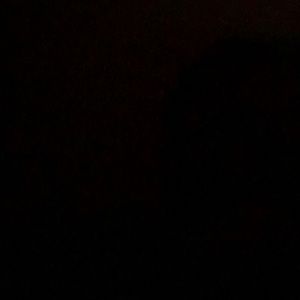 Meet your Posher, Youngor