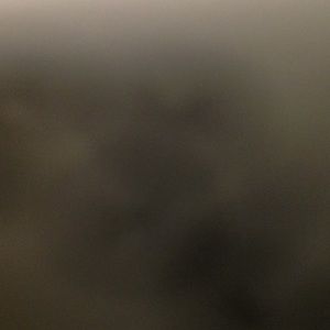 Meet your Posher, George