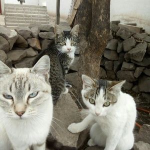 Meet your Posher, Lily