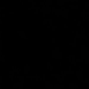 Meet your Posher, Irma