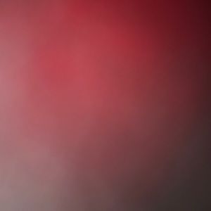 Meet your Posher, Maya