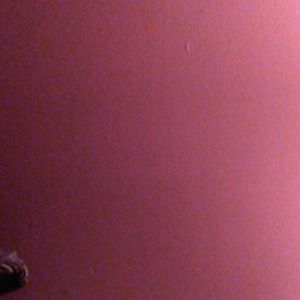 Meet your Posher, Peggy