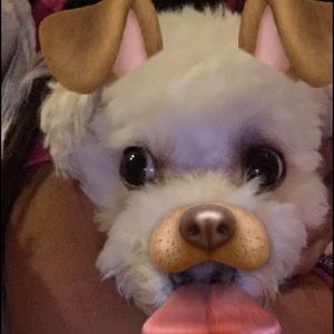 Meet your Posher, Chloe