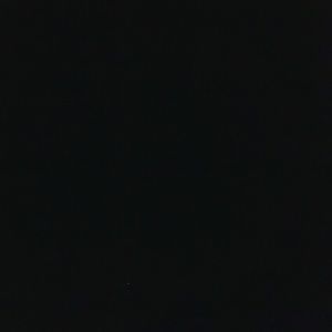 Meet your Posher, Latonya