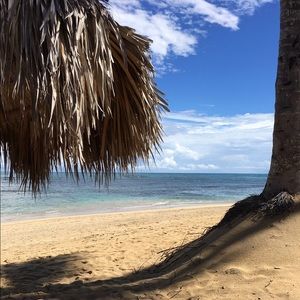 Meet your Posher, Alicia