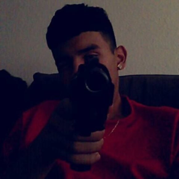 Meet your Posher, Joey - Picture 1 of 1