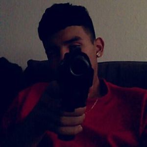 Meet your Posher, Joey