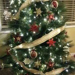 Meet your Posher, Tara