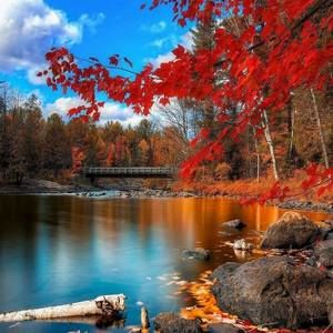 Meet your Posher, Lucy