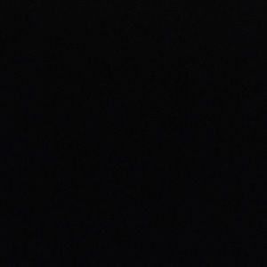 Meet your Posher, Ally