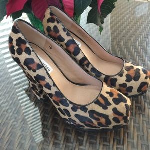 Steve Madden Sarina Leopard