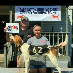 Meet your Posher, Sally