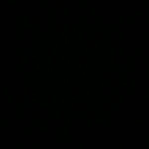 Meet your Posher, Cherry