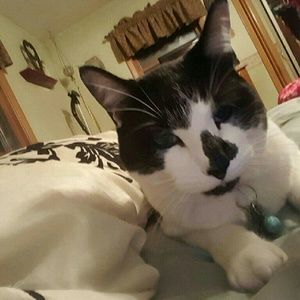 Meet your Posher, Sharon