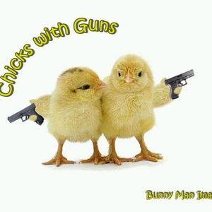 Meet your Posher, Cassidy