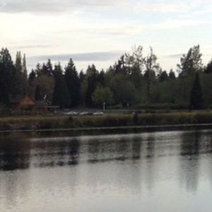 Meet your Posher, Jared