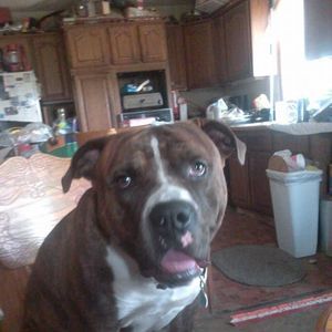 Meet your Posher, Jolean