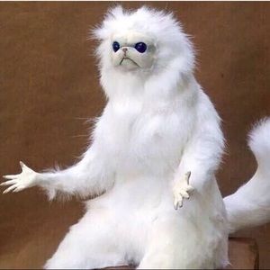 Meet your Posher, Adriane