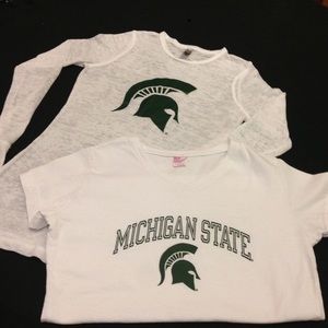 Michigan State Bundle