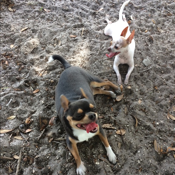 Meet your Posher, Glenda - Picture 2 of 4