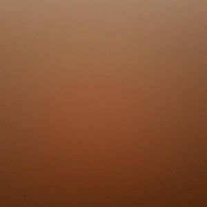 Meet your Posher, Liz