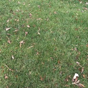 Meet your Posher, Karina