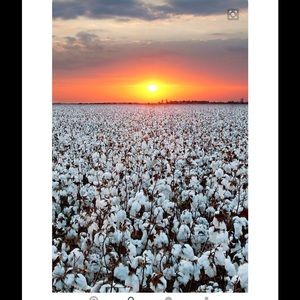 Meet your Posher, Leigh