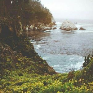 Meet your Posher, Arrike