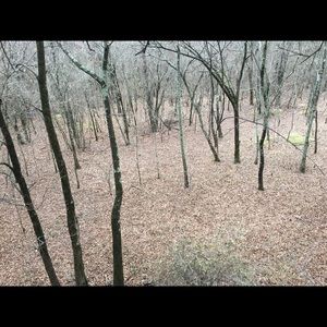 Meet your Posher, Cheyenne