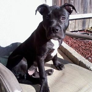 Meet your Posher, Agnes