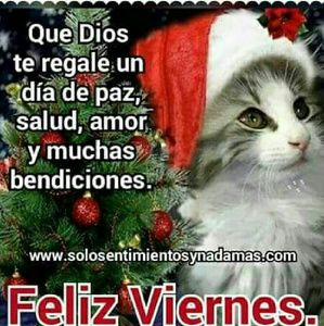 Meet your Posher, Adalberto