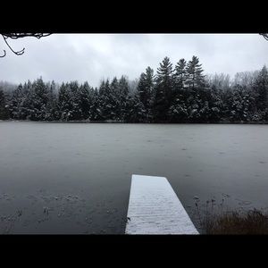 Meet your Posher, Lacey